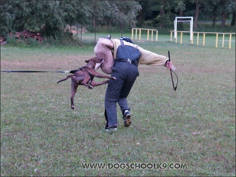 Training camp - Lukova 2007